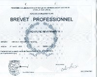 Brevet professionnel